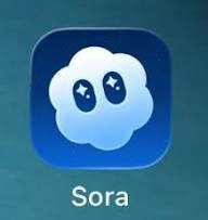 Mostrar productos en la categoría SORA